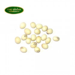 Abrus Precatorius White Seeds