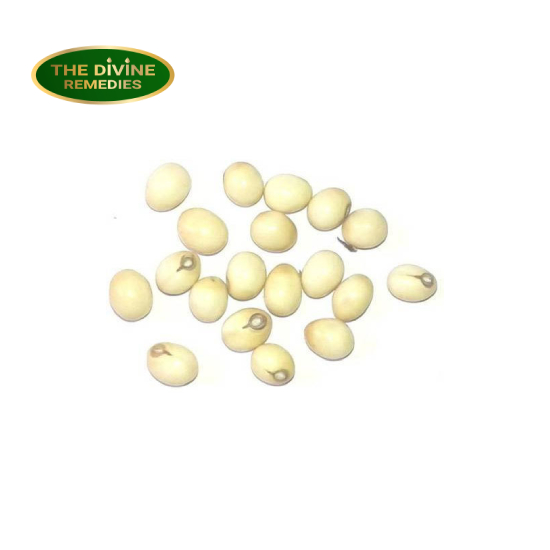 Abrus Precatorius White Seeds